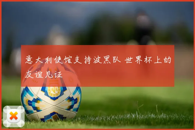 意大利使馆支持波黑队 世界杯上的友谊见证