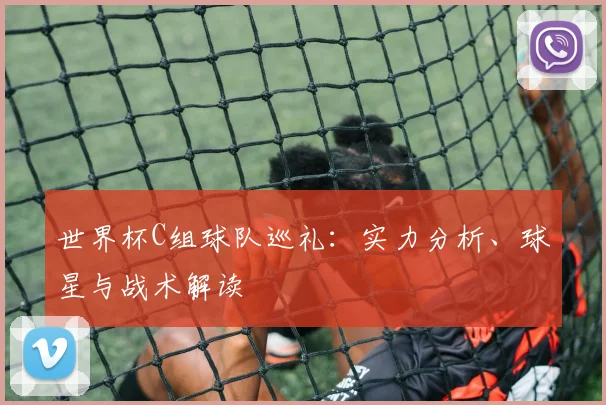 世界杯C组球队巡礼：实力分析、球星与战术解读