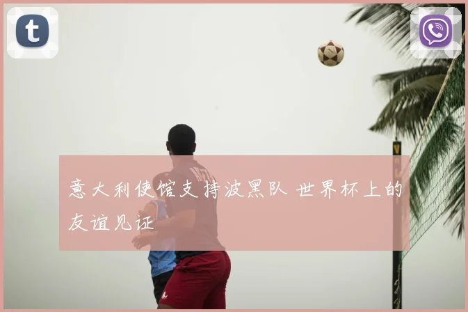 意大利使馆支持波黑队 世界杯上的友谊见证