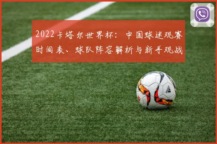 2022卡塔尔世界杯：中国球迷观赛时间表、球队阵容解析与新手观战指南